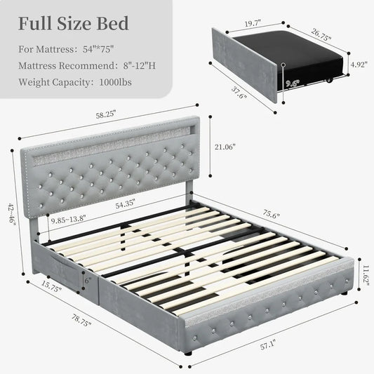 LED Platform Bed Frame with 2 Drawers, Storage