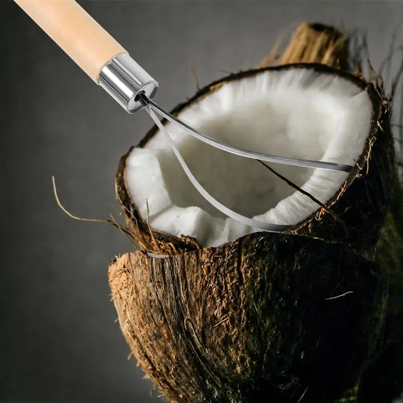 Stainless Steel Coconut Meat Meat Remover Tool Scraper