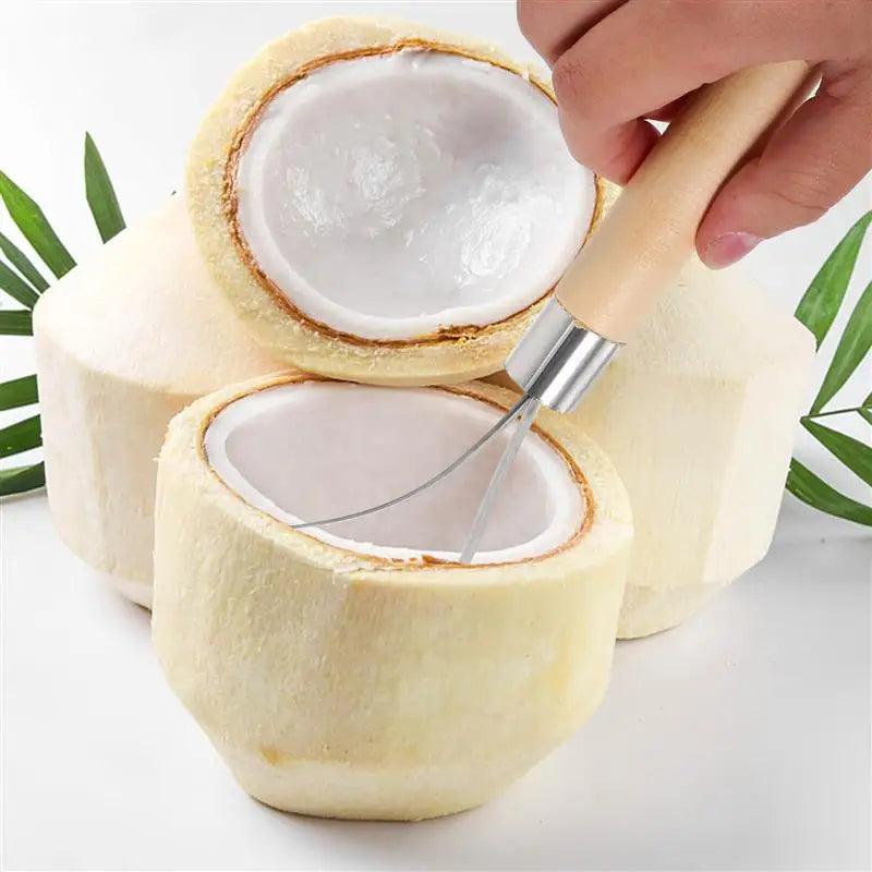 Stainless Steel Coconut Meat Meat Remover Tool Scraper