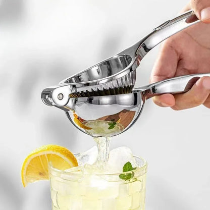Stainless Steel Manual Juicer Processor