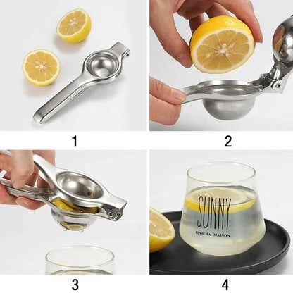 Stainless Steel Manual Juicer Processor