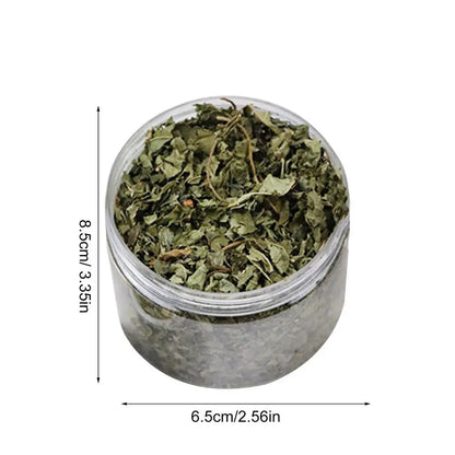 Cat Mint Catnip Natural Catnip Organic