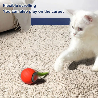 Automatic Moving Smart Cat Toy, Two Speed Adjustment, Speedy Tail Cat Toy with Replacement Tail