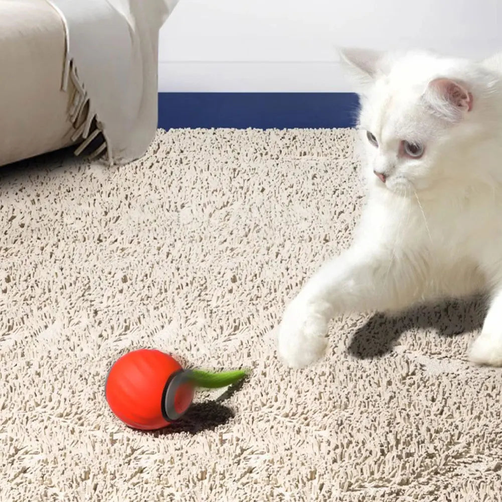 Automatic Moving Smart Cat Toy, Two Speed Adjustment, Speedy Tail Cat Toy with Replacement Tail