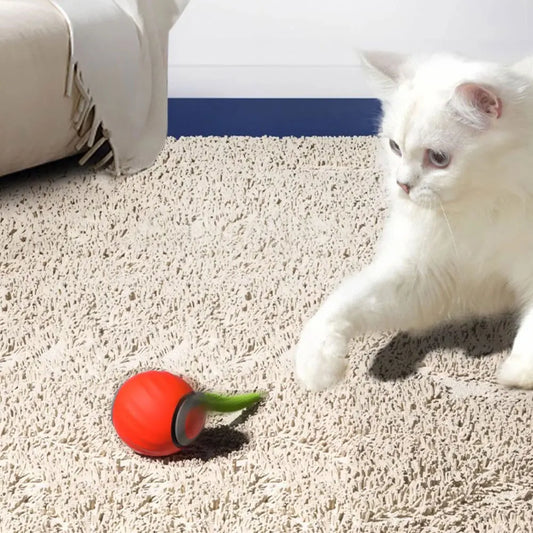 Automatic Moving Smart Cat Toy, Two Speed Adjustment, Speedy Tail Cat Toy with Replacement Tail