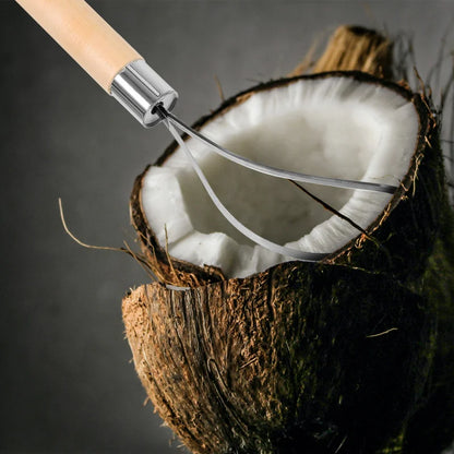 Stainless Steel Coconut Meat Meat Remover Tool Scraper