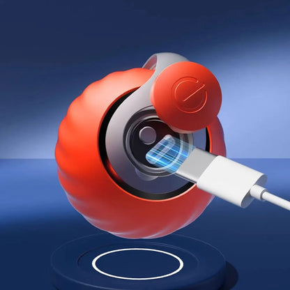 Automatic Moving Smart Cat Toy, Two Speed Adjustment, Speedy Tail Cat Toy with Replacement Tail