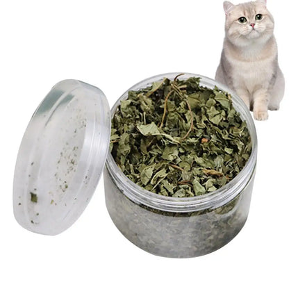 Cat Mint Catnip Natural Catnip Organic