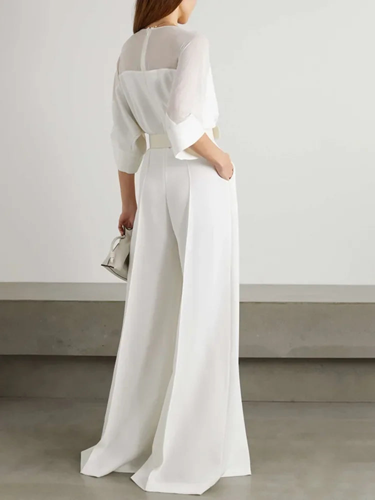 Elegant V-neck, Mesh Patchwork Raglan Sleeve, Belted Wide Leg Jumpsuit