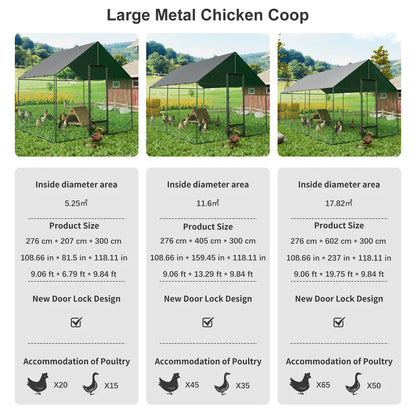 Heavy Duty Upgrade Outdoor Chicken Coop