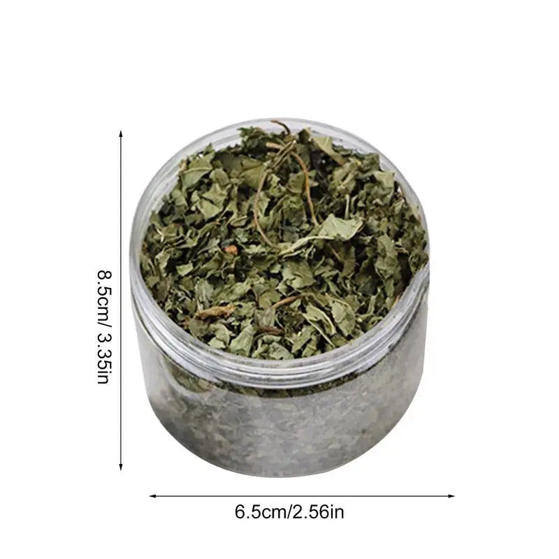 Cat Mint Catnip Natural Catnip Organic