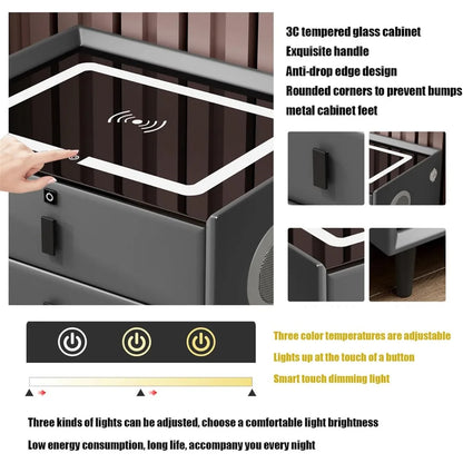 Smart Side stand with Fingerprint Lock and Adjustable LED Lights with USB and Type-C Port