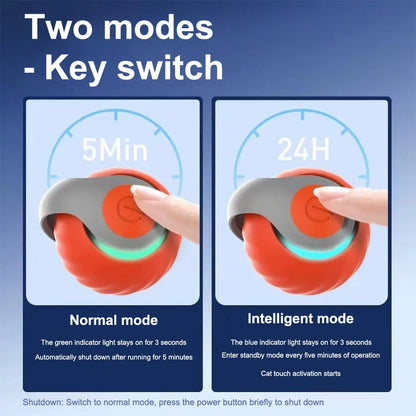 Automatic Moving Smart Cat Toy, Two Speed Adjustment, Speedy Tail Cat Toy with Replacement Tail